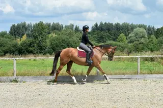 Perfect teenagers allrounder with plenty of scope 