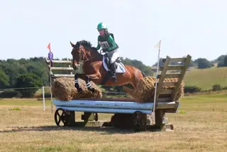 Ultimate eventing/competition/pony club pony 