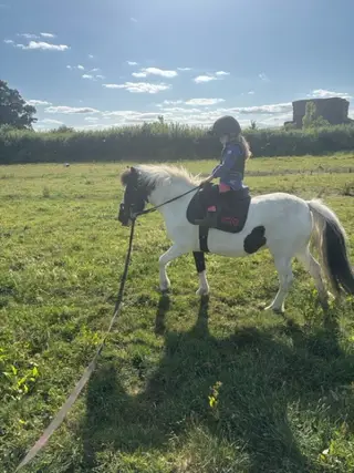 10.2 Shetland Cross 