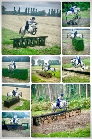 Outstanding competition pony 