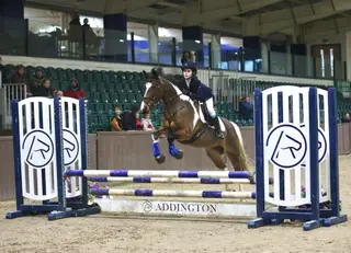 Pony Club pony 