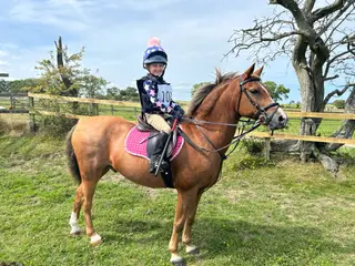 Pony Club Allrounder