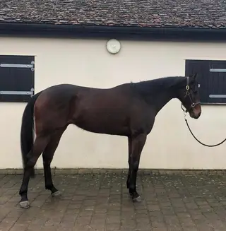 Gorgeous event potential