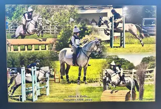 Fantastic Unicorn competition Pony