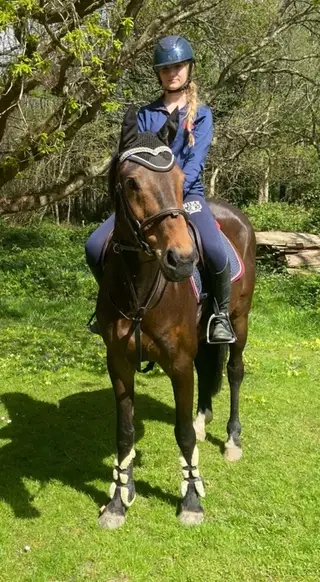 15’2 Gelding PC/RC Type