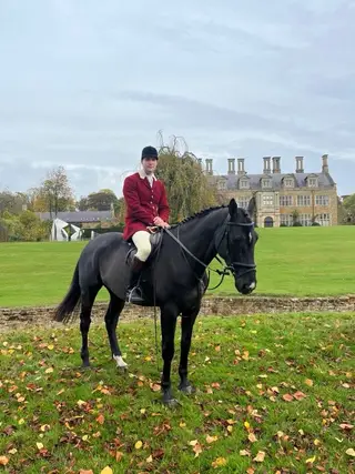 16.2hh Hunter – Genuine & Fun, For Loan