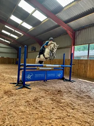 148 show jumping/eventing teens pony