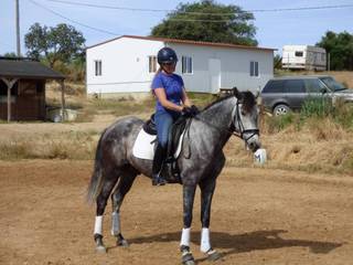 Pre Sold Riders Horse for Sale | Stunning PRE gelding