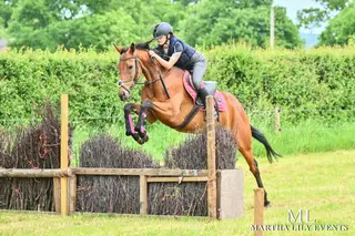 8 year old Thoroughbred mare
