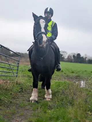 Bailey - Slow kick along