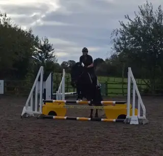 Quality Fell Pony Mare (2018, 13.3hh)