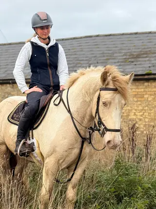 Striking Lemon & White Irish Allrounder- LENNIE