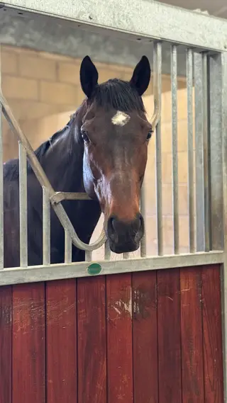 Exracer for sale!