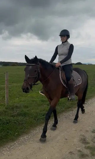 Promising 3-Year-Old Bay Roan Connemara filly