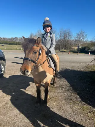 Angel 12’2 Dartmoor Hill Pony 