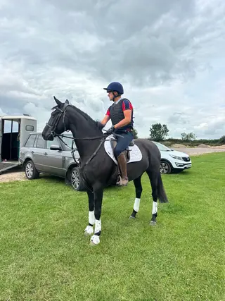 ISH mare