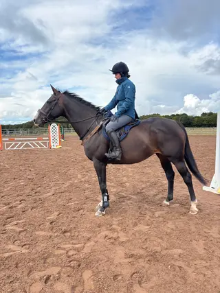 Wonderful allrounder ready to go 