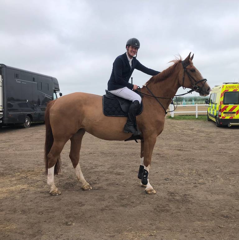 Horse for Sale Schoolmistress