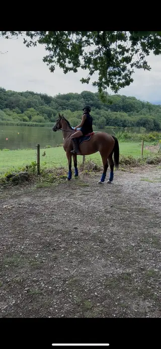 Genuine kind arounder