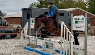 Future top pony club type 