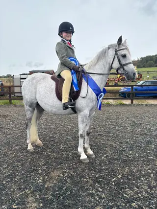 “Tank” Welsh B 2nd pony
