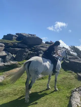 EXCEPTIONAL TB/SHIRE HUNTER 16.2hh grey mare