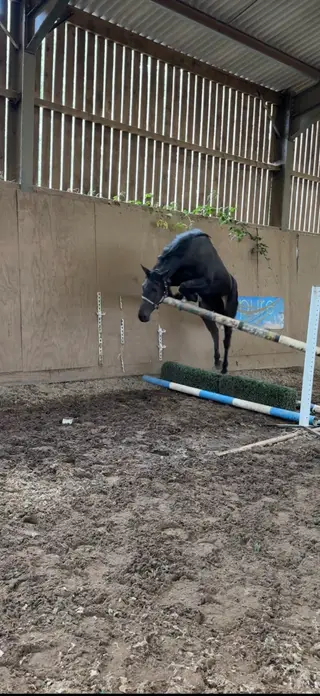 Super future prospect