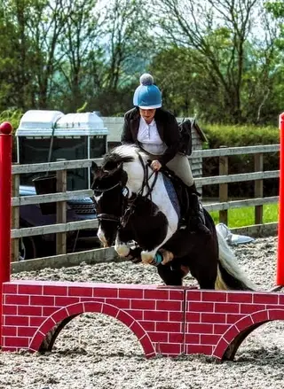Great all rounder Pony 