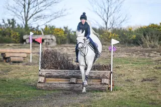Quality 15.1hh Grey Gelding – Genuine & Brave