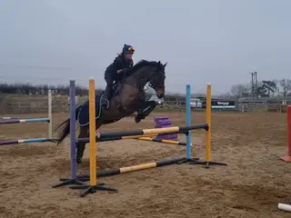 Potential all rounder - Safe, Sane & Fun to Have Around