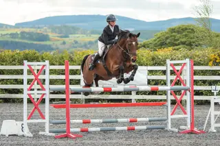 COMPACT 1.25M MARE – PERFECT FOR TEENAGER OR AMATEUR RIDER