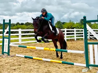 ANNIE – YOUR NEXT FOREVER SCHOOLMASTER