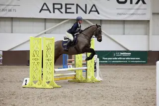 Fantastic All-Rounder