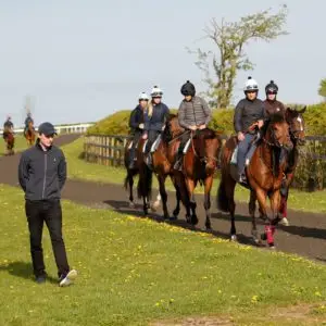 Full Time Yard Staff for busy Racing Yard