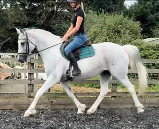Super Mother Daughter Share/ Teenager’s Fun Ride- AZZY