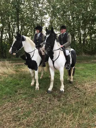 15hh Coloured All-Rounder – Safe and Fun Ride