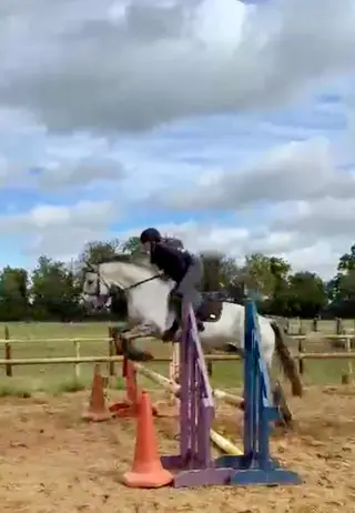 Eye catching 15.2 gelding 
