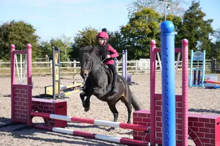 Beautiful family pony 