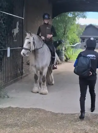 Fairy tail cob