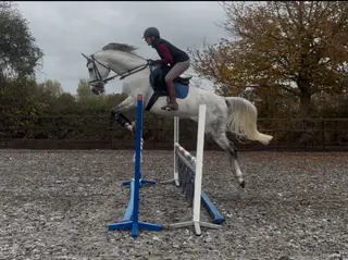 High end RC/BS/Allrounder