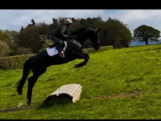 Black striking mare/ KWPN with lovely nature