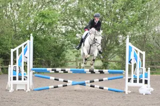 Lovely Talented Jumping Pony