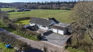 Large Rural 3 Bed Bungalow, 4 Acres, 4 Stables and School - Dorset/Hampshire Border