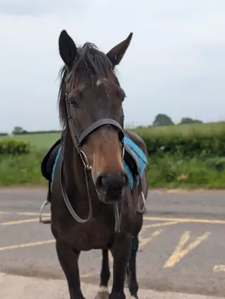 Beautiful, gentle low level all-rounder / happy hacker