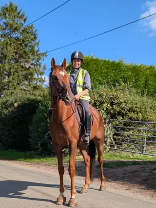As close to bombproof as they come