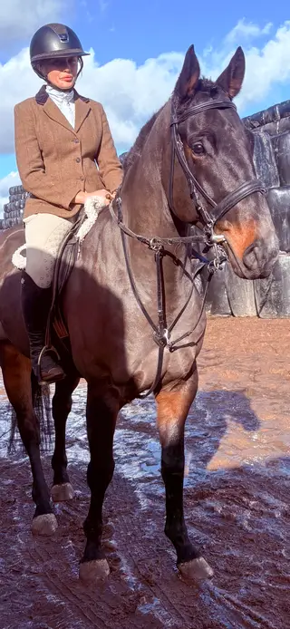 Cracking young horse with a bright future 