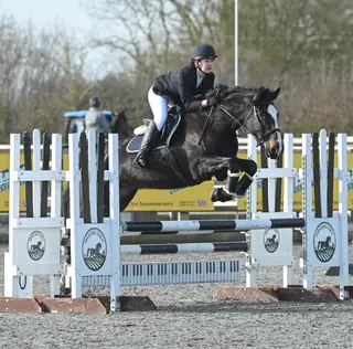 Ideal Teenager’s/ Family Horse – Fun, Safe and Bold- MALIBU
