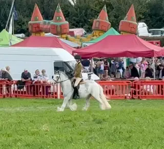 One in a million safe cob 12hh