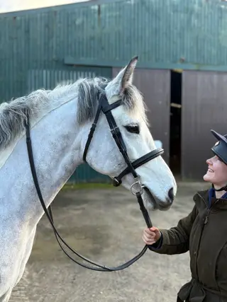 STUNNING 15.1 5yr Connemara mare by Maam hero