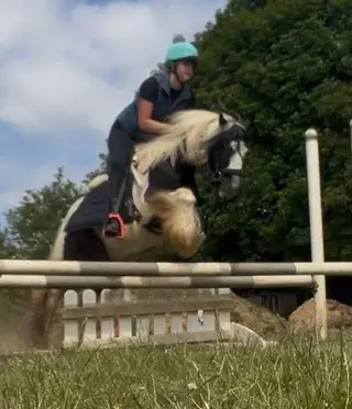 Dott Dott super fun all rounder cob